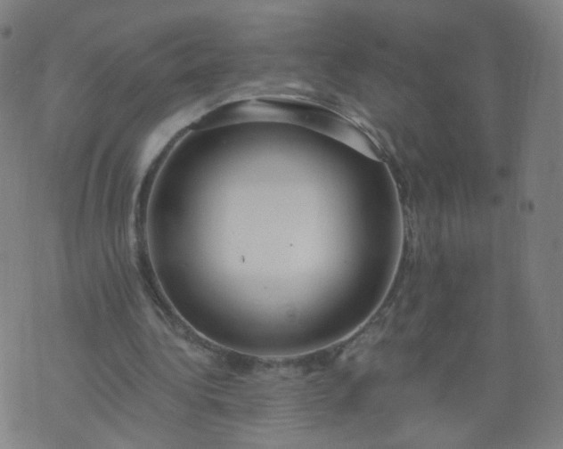 X0000074280340200609081832