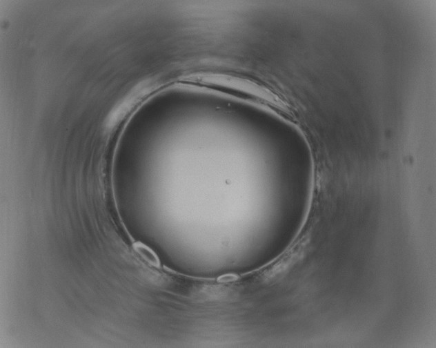 X0000074280341200609081832