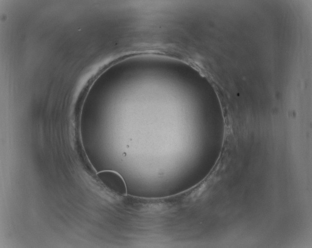 X0000074280342200609081832