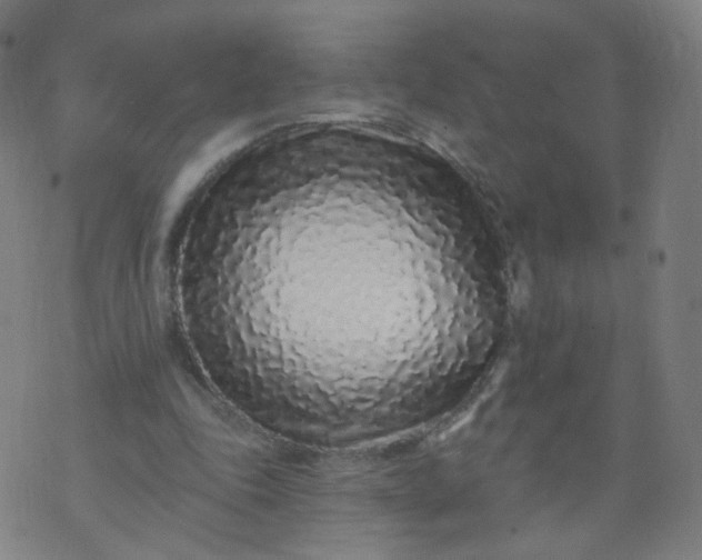 X0000074280343200609081832