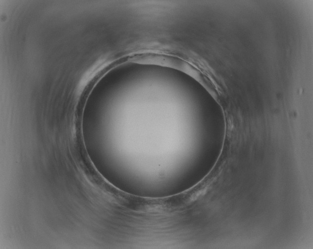 X0000074280344200609081832