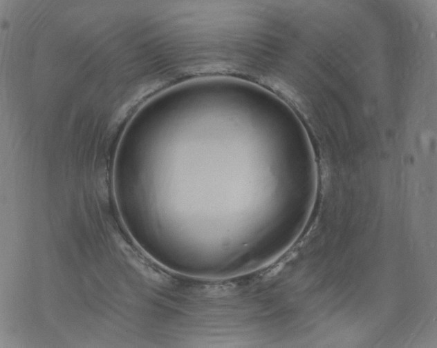 X0000074280345200609081832