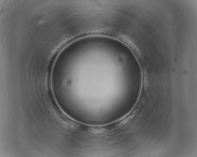 X0000074280346200609081832