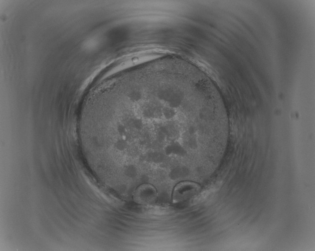 X0000074280347200609081832