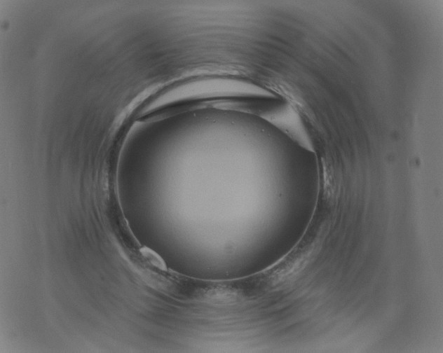 X0000074280348200609081832