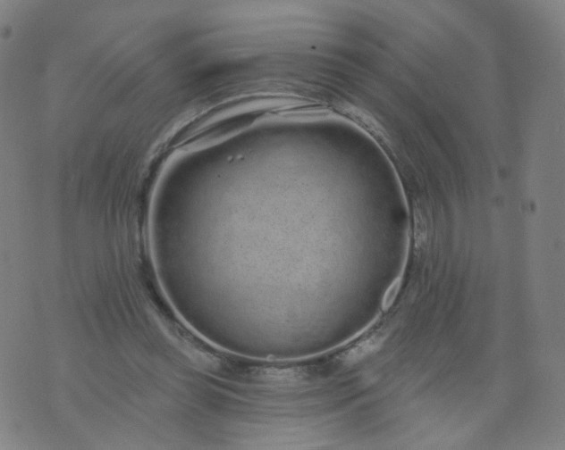 X0000074280349200609081832