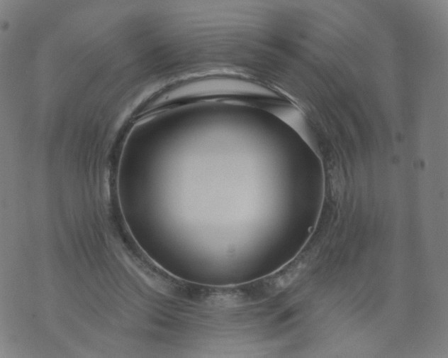 X0000074280350200609081832