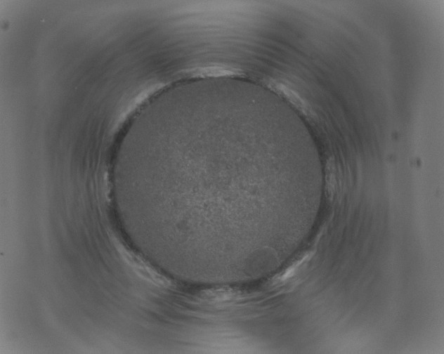 X0000074280351200609081832