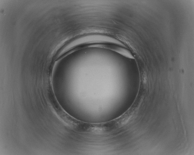 X0000074280352200609081832