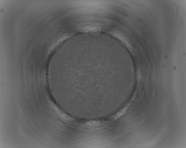 X0000074280353200609081833