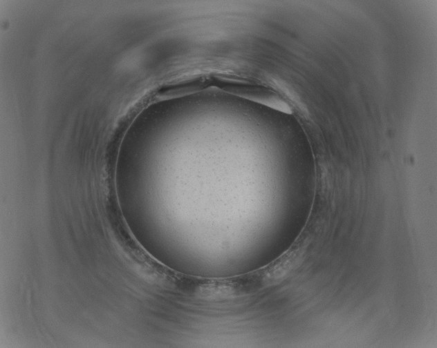 X0000074280354200609081833