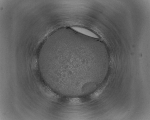 X0000074280355200609081833