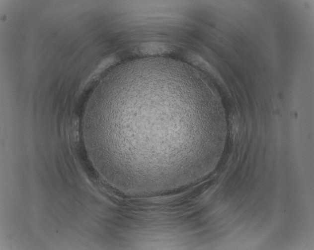 X0000074280356200609081833