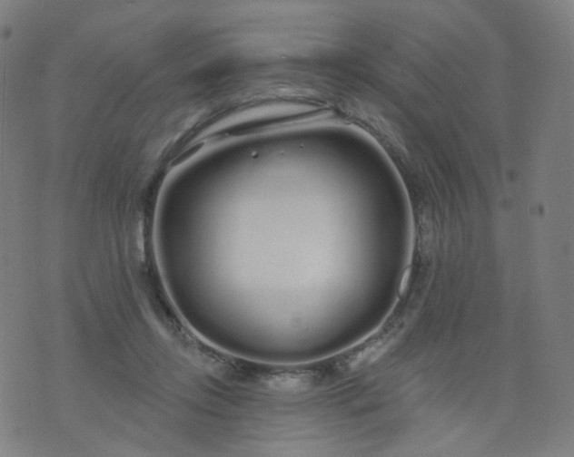 X0000074280358200609081833