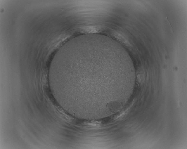 X0000074280359200609081833