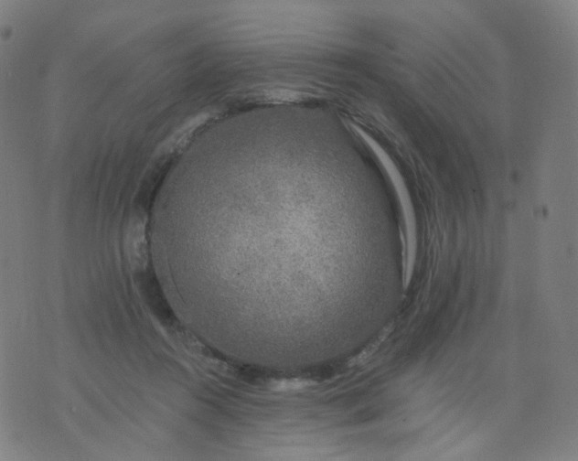 X0000074280360200609081833