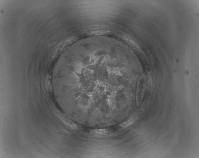 X0000074280361200609081833