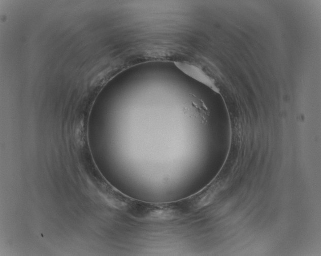 X0000074280364200609081833