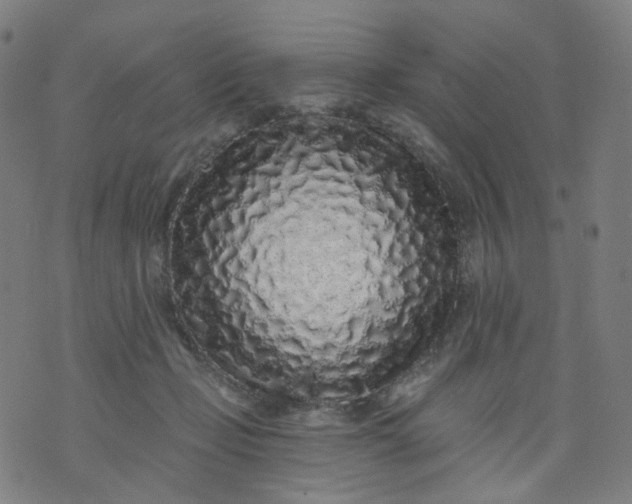 X0000074280365200609081833