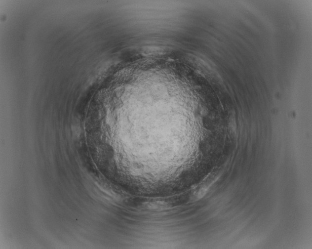 X0000074280367200609081833