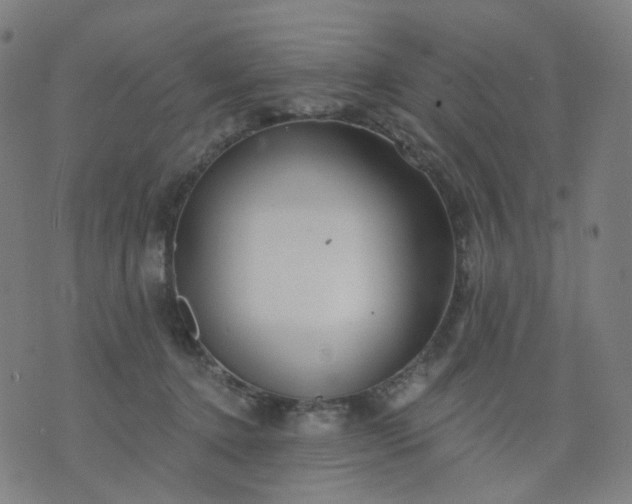 X0000074280368200609081833