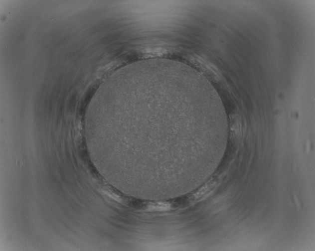 X0000074280369200609081833