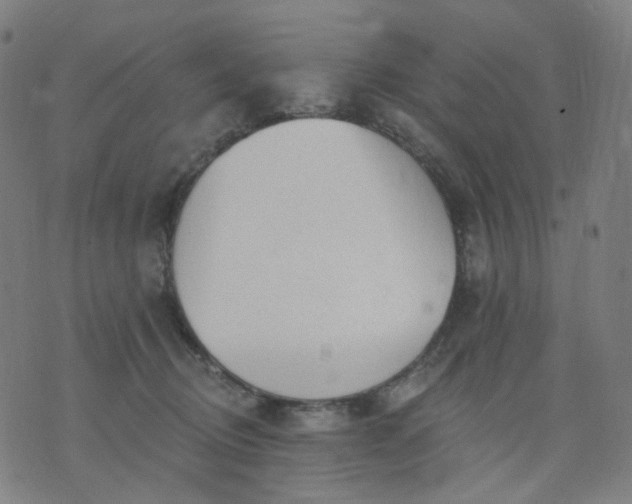 X0000074280370200609081833