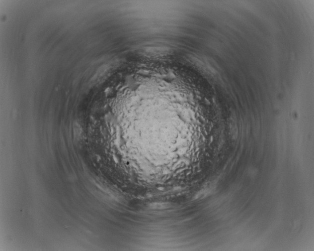 X0000074280371200609081833