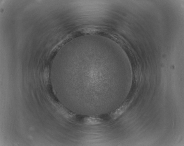 X0000074280372200609081833