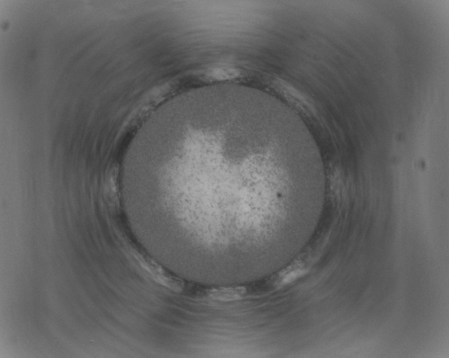 X0000074280373200609081833