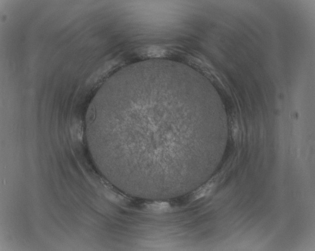 X0000074280374200609081833