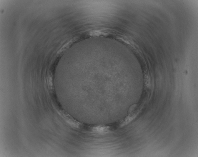 X0000074280375200609081833