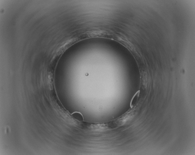 X0000074280378200609081833