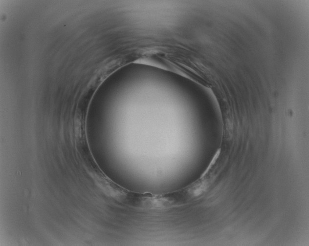 X0000074280379200609081833