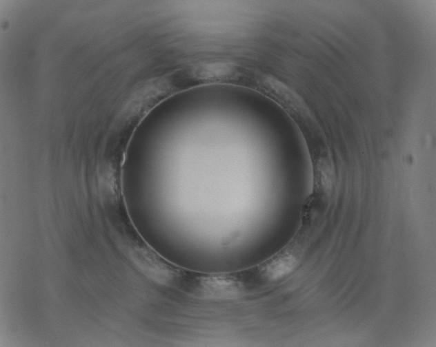 X0000074280380200609081833