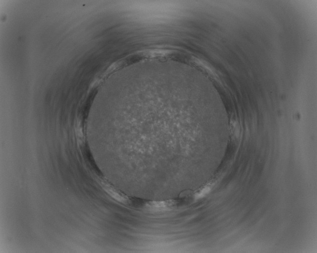 X0000074280381200609081833