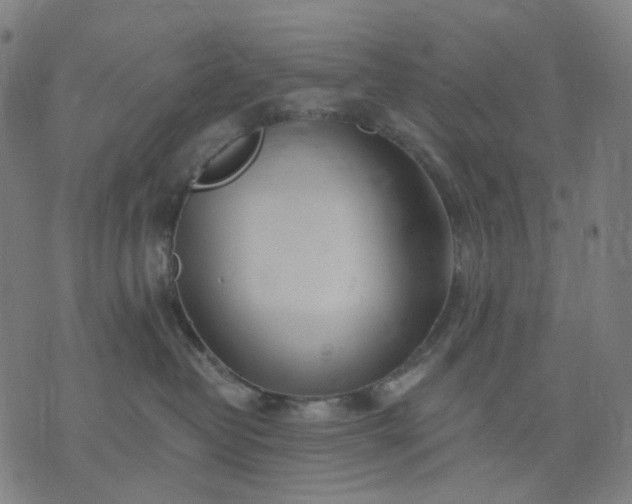 X0000074280382200609081833