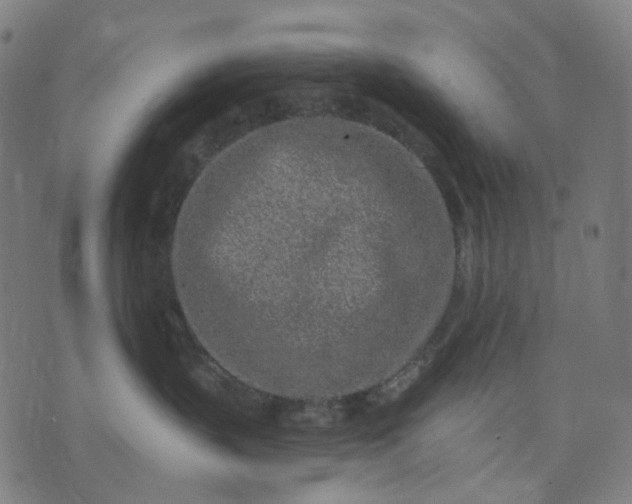 X0000074280383200609081833