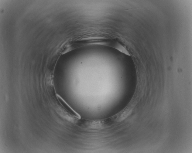 X0000074280384200609081833