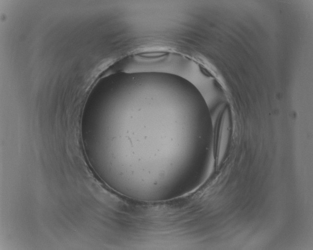 X0000074280385200609081832