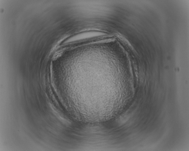 X0000074280386200609081832