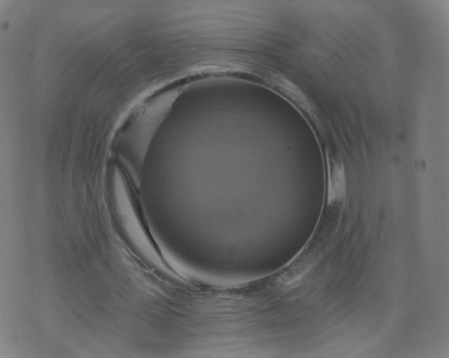 X0000074280387200609081832