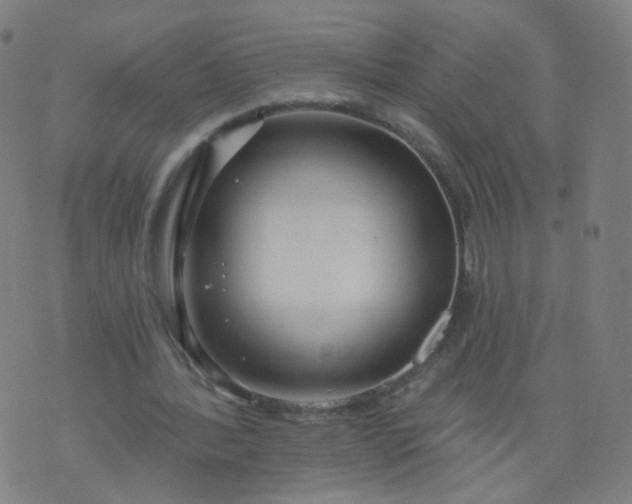 X0000074280388200609081832