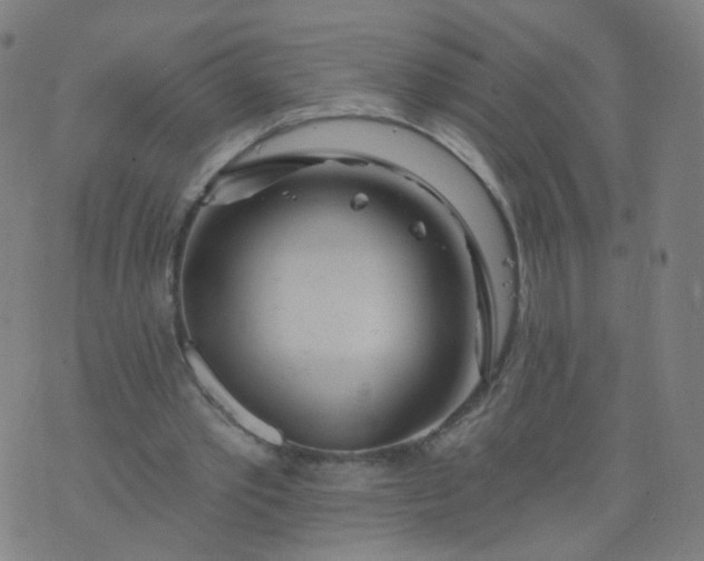 X0000074280389200609081832