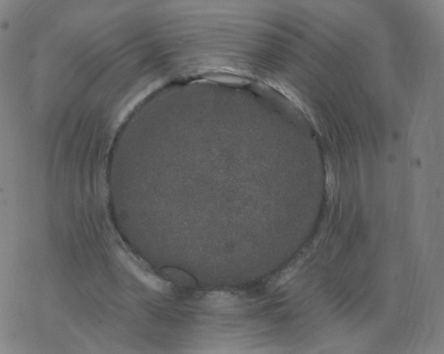 X0000074280390200609081832