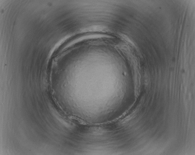 X0000074280392200609081832