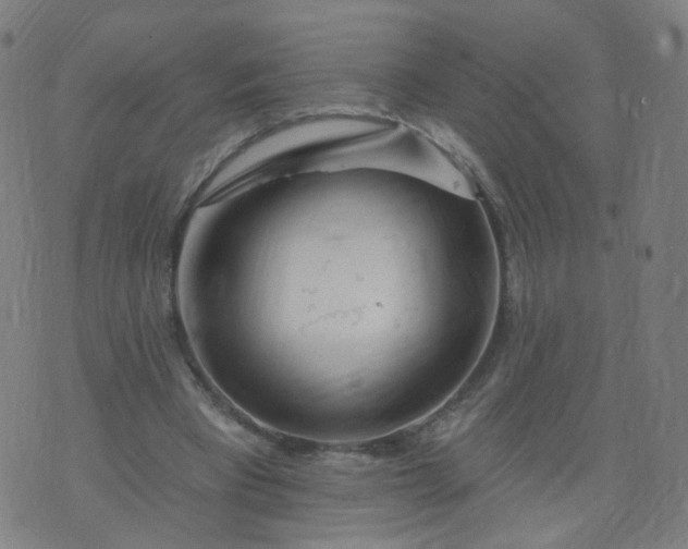 X0000074280393200609081832