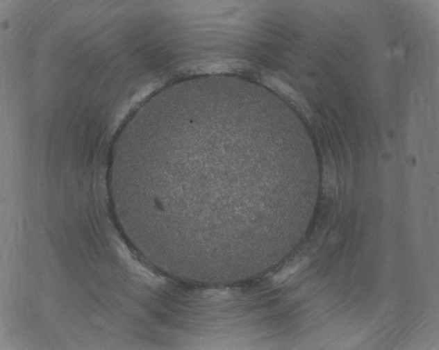 X0000074280394200609081832