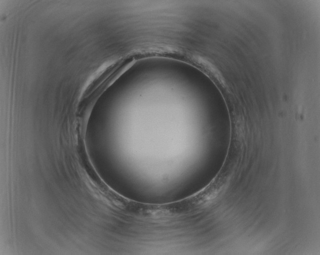 X0000074280395200609081832