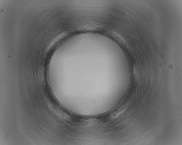 X0000074280396200609081832